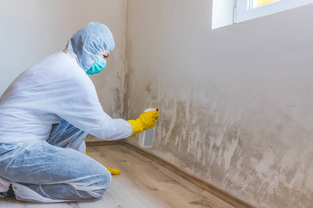 Licensed Mold Remediation service in Atlantic Highlands, NJ - WQB Mold Removal