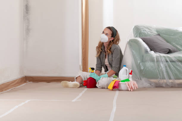 Reliable Mold Remediation contractor in Atlantic Highlands, NJ by WQB Mold Removal